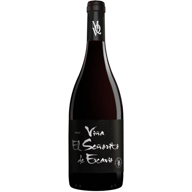 Ercavio »El Señorito« 2021  0.75L 14.5% Vol. Rotwein Trocken aus Spanien von Más que Vinos