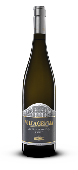 "Villa Gemma" Bianco Colline Teatine IGT 2023 "Villa Gemma" Bianco Colline Teatine IGT 2023 von Masciarelli