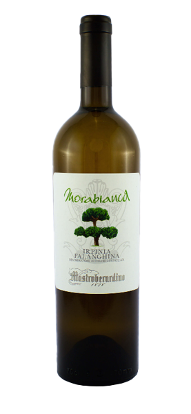 "Morabianca" Falanghina Irpinia DOC 2022 "Morabianca" Falanghina Irpinia DOC 2022 von Mastroberardino