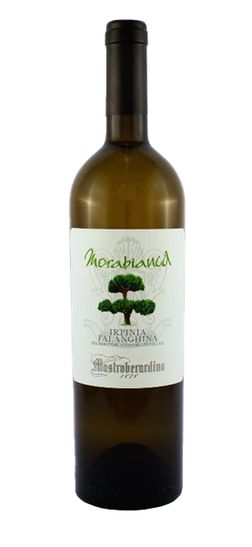 "Morabianca" Falanghina Irpinia DOC 2022 von Mastroberardino