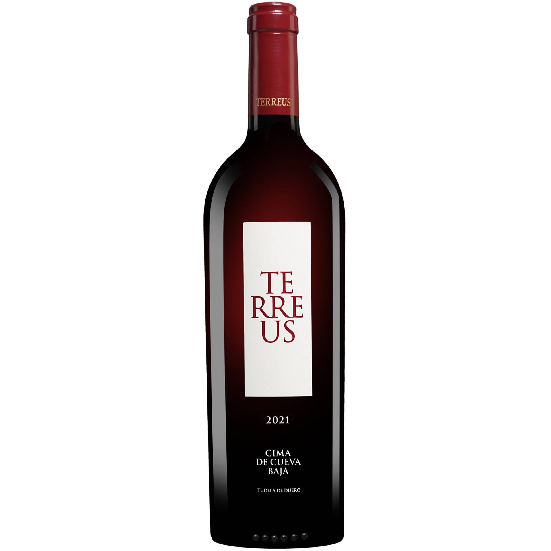 Mauro »Terreus« 2021  0.75L 14.5% Vol. Rotwein Trocken aus Spanien von Mauro