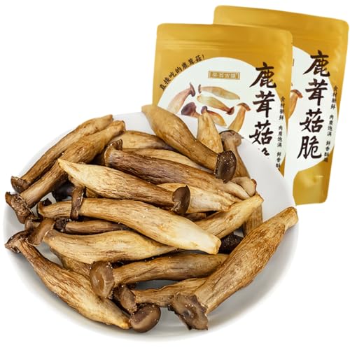 Mckona - Knusprige Pilze 80g (2×40g) - Gefriergetrocknete Pilz-Snacks, Vegan & Gesund von McKona