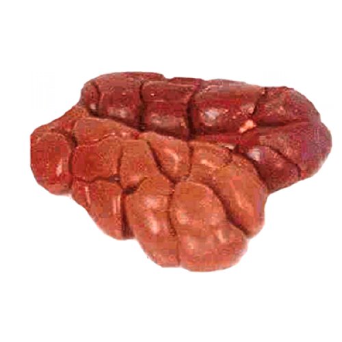 MeinMetzger Rindernieren, schlachtfrisch, 1.500 g MeinMetzger Rindernieren, schlachtfrisch, 1.500 g von MeinMetzger Gutes bewusst genießen
