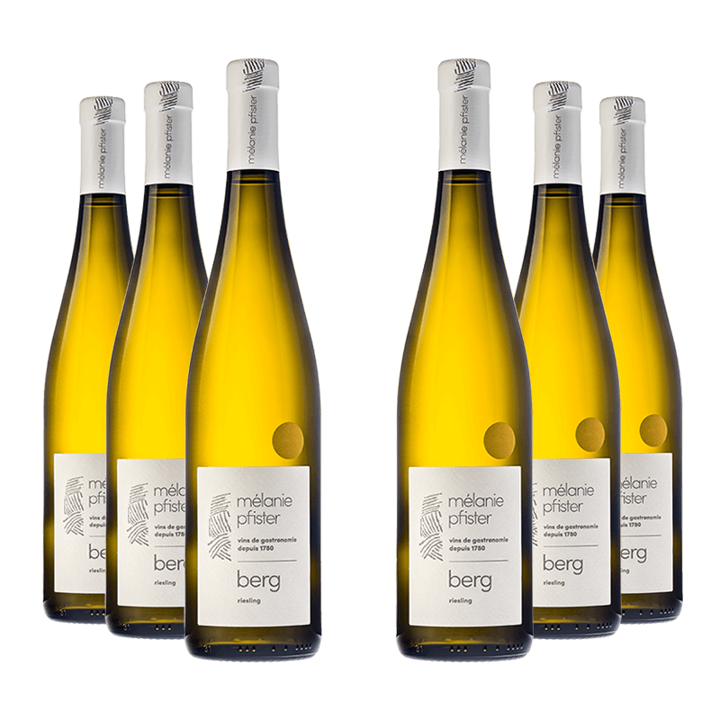 Mélanie Pfister : Riesling "Berg" 2023 Mélanie Pfister : Riesling "Berg" 2023 von Mélanie Pfister