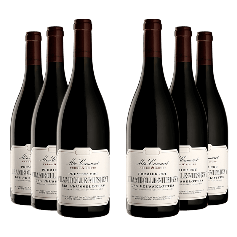Méo-Camuzet : Chambolle-Musigny 1er cru "Les Feusselottes" Méo-Camuzet Frère & Soeurs 2022 Méo-Camuzet : Chambolle-Musigny 1er cru "Les Feusselottes" Méo-Camuzet Frère & Soeurs 2022 von Méo-Camuzet