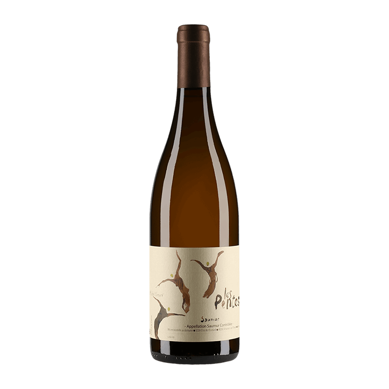 Michel Chevré : Les Pentes du Clos de l'Ecotard 2015 Michel Chevré : Les Pentes du Clos de l'Ecotard 2015 von Michel Chevré