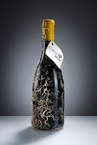 Coral Wine Ex Cathedra Sauvignon Blanc Jahrgang 2016 0,75l (14,5% Vol) - Weißwein mit echten Korallen- [Enthält Sulfite] von Mixcompany.de Bar & Glas