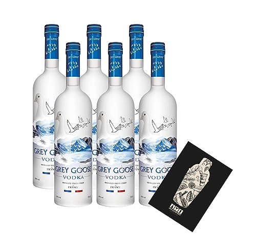 Grey Goose 6er Set Vodka 6x 0,7l (40% Vol) Distilled in France- [Enthält Sulfite] von Mixcompany.de Bar & Glas