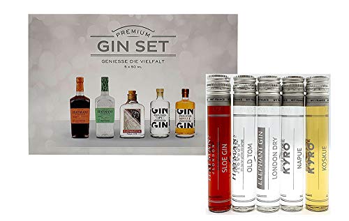 Premium Gin Probier Set - 5 vers. Sorten - Haymans Sloe 50ml (26% Vol) Haymans Old Tom 50ml (41,4% Vol) Elephant 50ml (45% Vol) Kyrö Napue 50ml (46,3% Vol) Kyrö Koskue 50ml (42,6% Vol) von Mixcompany.de Bar & Glas