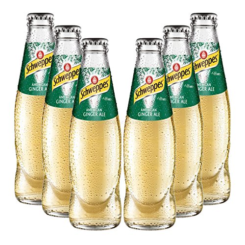 Schweppes American Ginger Ale - 6x200ml = 1200ml - Inkl. Pfand MEHRWEG von Mixcompany.de Bar & Glas