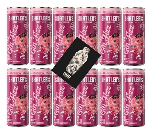 Shatlers 12er Set Pink Gin Fizz 12x 0,25L (10,1% Vol) inkl. Pfand EINWEG - [Enthält Sulfite] von Mixcompany.de Bar & Glas