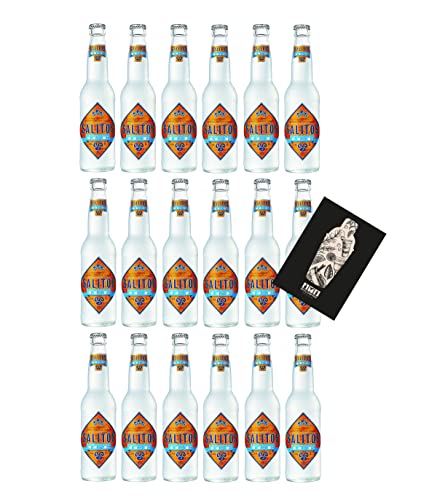 Salitos 18er Set Bier Salitos Ice Beer 18x 0,33L (5,2% Vol) inkl. Pfand MEHRWEG mit Mixcompany Grußkarte- [Enthält Sulfite] von Mixcompany