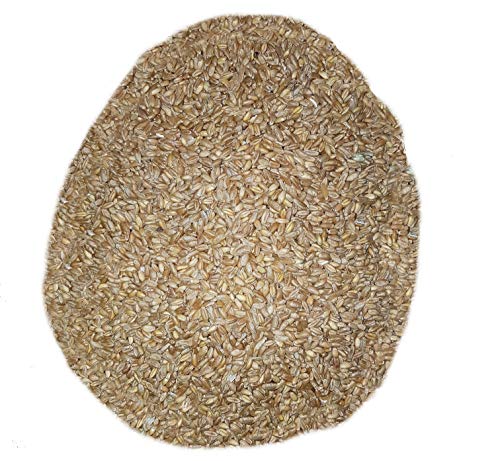 25kg "Russello" Weizen aus vorgereinigtem Mühlstein - MOLINO ZAPPALA ' 25kg "Russello" Weizen aus vorgereinigtem Mühlstein - MOLINO ZAPPALA ' von Molino Zappala'