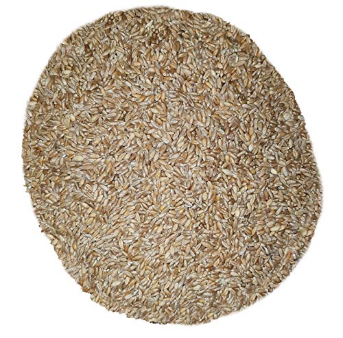5 kg "Timilia" Weizen aus vorgereinigter Mühle-MOLINO ZAPPALA ' 5 kg "Timilia" Weizen aus vorgereinigter Mühle-MOLINO ZAPPALA ' von Molino Zappala'