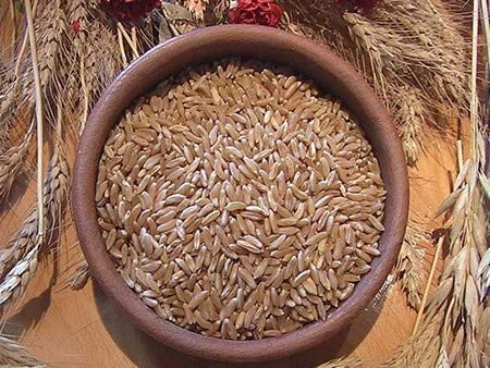 5kg Weizen "Khorasan" aus vorgereinigter Mühle-MOLINO ZAPPALA ' von Molino Zappala'