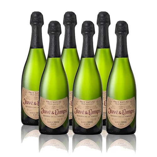 Cava Juve Camps Reserva Familia Brut Nature 75 cl - D.O. Cava - Weingüter Juve und Camps (6 Flaschen) von Momentos Santiamen