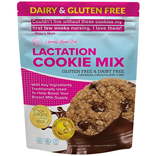 Lactation Cookies Mix – Glutenfreie und milchfreie Haferflocken-Stillkeks-Ergänzung, Unterstützung für die Erhöhung der Muttermilchversorgung (Schokoladenstückchen, 0,5 kg) von Mommy Knows Best