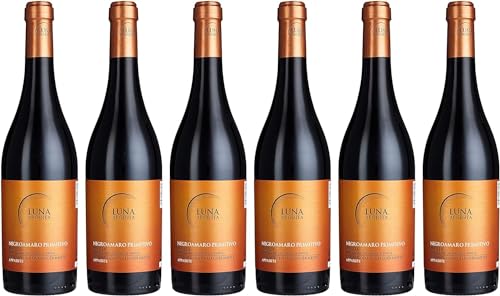 Luna Argenta Negroamaro Primitivo Appassite IGT Rotwein Wein halbtrocken Italien Inkl. FeinWert E-Book (6 x 0,75l) von Mondo Del Vino