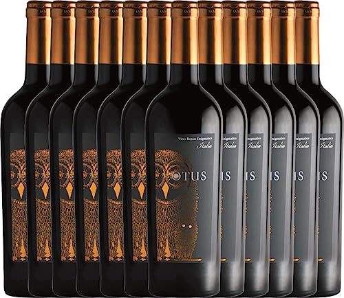 Asio Otus Vino Varietale d'Italia von Mondo del Vino - Rotwein 12 x 0,75l VINELLO - 12er - Weinpaket inkl. kostenlosem VINELLO.weinausgießer von Mondo del Vino