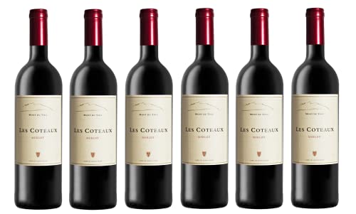 6x 0,75l - Mont du Toit - Les Coteaux - Merlot - Paarl W.O. - Südafrika - Rotwein trocken von Mont du Toit