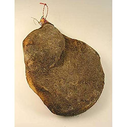 Schinken Toscana, ganzer Schinken ohne Knochen, 18 Monate, Montalcino Salumi, ca.7 kg Schinken Toscana, ganzer Schinken ohne Knochen, 18 Monate, Montalcino Salumi, ca.7 kg von Montalcino Salumi S.r.l.