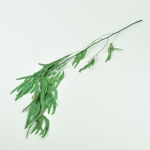 Stabilisierte Eukalyptus Nicoly Stabilisierte Eukalyptus Nicoly von Mooslager
