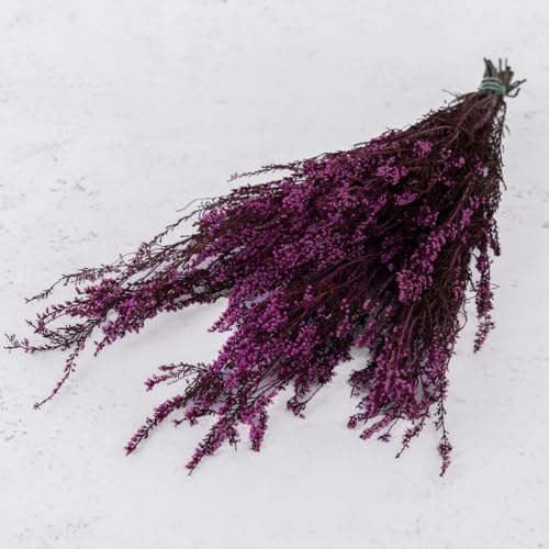 Stabilisiertes Heidekraut - Magenta Stabilisiertes Heidekraut - Magenta von Mooslager