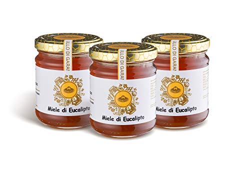 Moretti® | Handwerklicher Honig | Hergestellt in Kalabrien | Verschiedene Essenzen | 250g Glasverpackung (Eukalyptus, 3) von Moretti