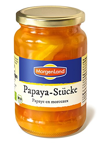 MorgenLand Bio-Papaya-Stücke, 1er Pack (1 x 350 g) von MorgenLand