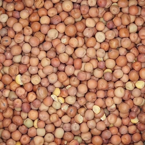 Maple-Peas - Gladen 2,5kg - Vogel Taube Geflügel Tierfutter Maple-Peas - Gladen 2,5kg - Vogel Taube Geflügel Tierfutter von Mühle Gladen