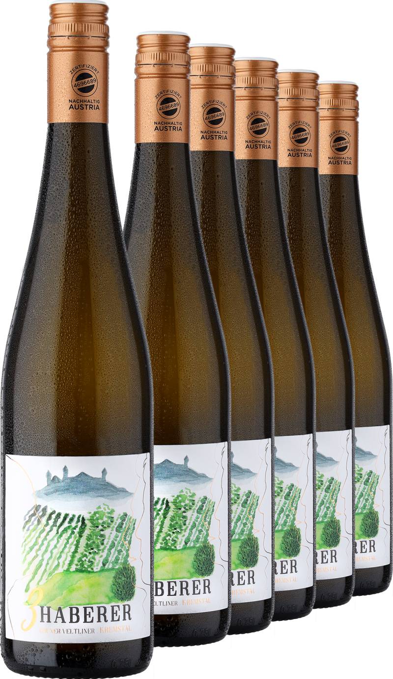 2023 Müller »3 Haberer« Grüner Veltliner im 6er-Vorratspaket von Müller