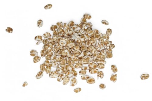 Müsli Mühle Bio Dinkel gepufft & gepoppt | Reich an Ballaststoffen & Proteinen | Vegan & ohne Zusätze | Ideal als Müsli oder Joghurt zum Frühstück | Nachhaltig verpackt in Deutschland | 500g von Müsli Mühle