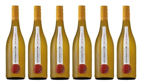 6x 0,75l - 2023er - Mulderbosch - Steen op Hout - Chenin Blanc - Stellenbosch W.O. - Südafrika - Weißwein trocken von Mulderbosch