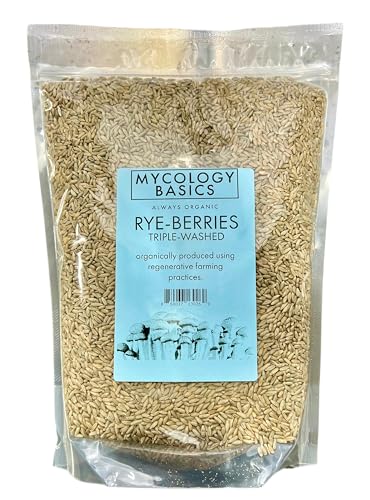 Mycology Basics Roggenbeeren für Pilzlaichen, Bio, dreifach gewaschenes Roggenkorn, um Pilzkörner zu machen, 2,3 kg von Mycology Basics
