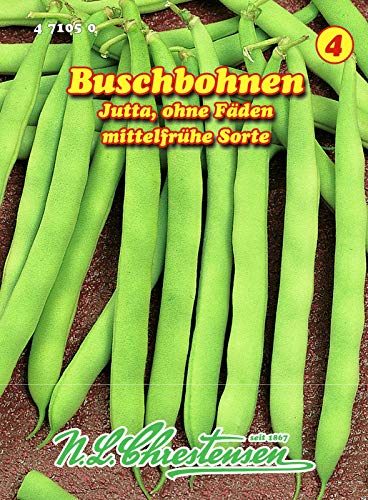 Buschbohnen, Jutta mittelfrüh, grün, ohne Fäden N.L.Chrestensen Samen 471050-B von N.L.Chrestensen