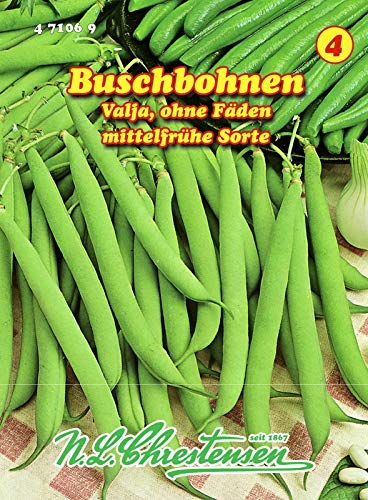 Buschbohnen, Valja mittelfrüh, grün, ohne Fäden N.L.Chrestensen Samen 471069-B von N.L.Chrestensen
