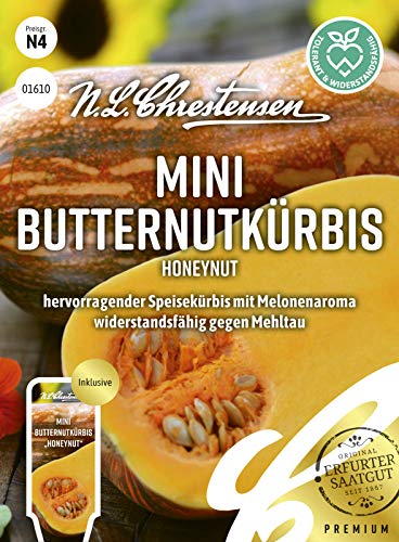 N. L. Chrestensen 01610 Mini Butternutkürbis Honeynut (Mini Butternutkürbissamen) von N.L.Chrestensen