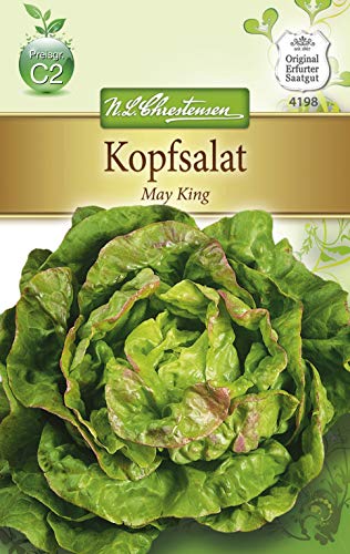 N.L. Chrestensen 4198 Kopfsalat May King (Kopfsalatsamen) von N.L.Chrestensen