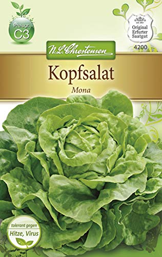 N.L. Chrestensen 4200 Kopfsalat Mona (Kopfsalatsamen) von N.L.Chrestensen