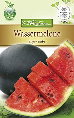 N.L. Chrestensen 4290 Wassermelone Sugar Baby (Wassermelonensamen) von N.L.Chrestensen