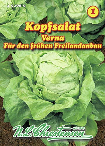 N.L. Chrestensen 452060 Kopfsalat Verna (Kopfsalatsamen) von N.L.Chrestensen