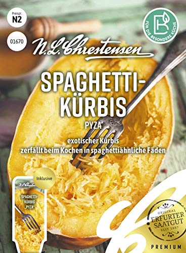 Spaghettikürbis Pyza N.L.Chrestensen Samen 1670 von N.L.Chrestensen