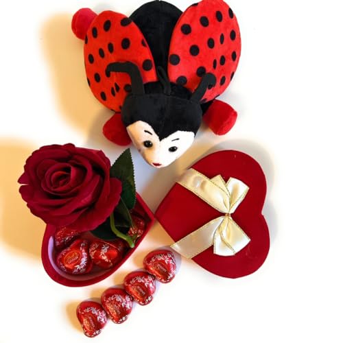 Valentinstag 2024 Schokoladenherz-Geschenk - (LINDOR-HERZEN) von NARAMAKI