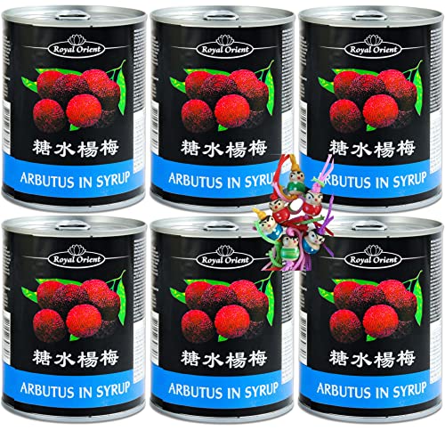 6er Pack - [ 6x 567g / 230g ATG ] Arbutus Früchte in Sirup | Erdbeerbaum Frucht gezuckert + ein kleiner Glücksanhänger gratis von Yoaxia