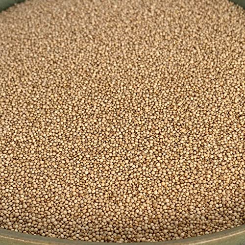 NULTHY - 500gr BIO-Amaranthsamen - Nüsse und Samen - Biologischer Landbau - Energieversorgung - Glutenfrei - Vegan NULTHY - 500gr BIO-Amaranthsamen - Nüsse und Samen - Biologischer Landbau - Energieversorgung - Glutenfrei - Vegan von NULTHY