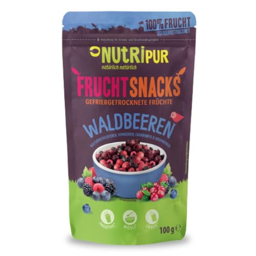 Waldbeeren Gefriergetrocknet: 100g Brombeeren, Heidelbeeren, Cranberries, Himbeeren gefriergetrocknet, ungezuckert – Getrocknete Früchte, Gefriergetrocknete Früchte, Gefriergetrocknete Beeren NutriPur von NUTRIPUR