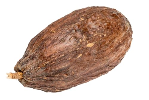 NaDeco Kakaoschote Natur-Braun, geöffnet ohne Bohnen, Größe ca. 10-15 cm | Kakaoschote zur Dekoration | Kakaofrucht | Kakaobohne | getrocknete Kakao Frucht ohne Kakaobohnen NaDeco Kakaoschote Natur-Braun, geöffnet ohne Bohnen, Größe ca. 10-15 cm | Kakaoschote zur Dekoration | Kakaofrucht | Kakaobohne | getrocknete Kakao Frucht ohne Kakaobohnen von NaDeco