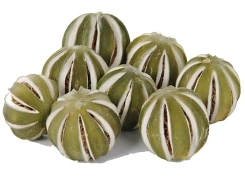 NaDeco Orangen, ganze Frucht, geschlitzt, ca. 250g | Citrus sinensis | getrocknete Orangen | Deko-Orangen | getrocknete Zitrusfrüchte | getrocknete Früchte | Adventsdekoration | Weihnachtsdekoration NaDeco Orangen, ganze Frucht, geschlitzt, ca. 250g | Citrus sinensis | getrocknete Orangen | Deko-Orangen | getrocknete Zitrusfrüchte | getrocknete Früchte | Adventsdekoration | Weihnachtsdekoration von NaDeco
