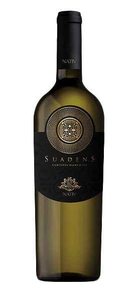 "Suadens" Bianco Campania IGP 2023 von Nativ