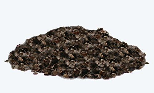 Buchweizen Nachfüllpack 2Kg Buchweizen Nachfüllpack 2Kg von NaturGut